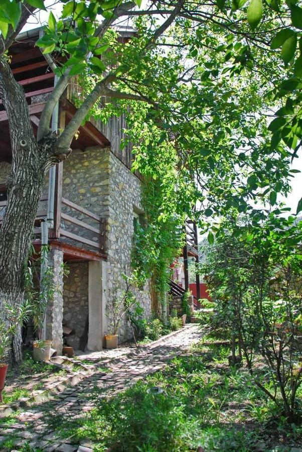 Pensiunea Dora Sasca Sasca Montană Zewnętrze zdjęcie